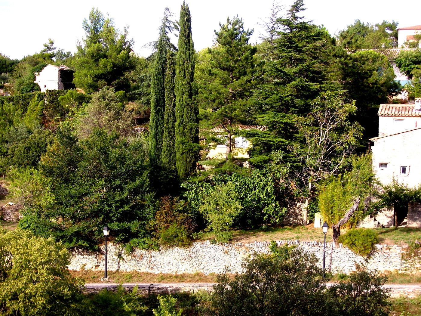 Garten mit Bäumen und Sitzplatz